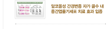 [CMC 세포치료 연구 동향] 5. 알코올성 간경변증 자가 골수 내 중간엽줄기세포 치료 효과 입증 / 자세히보기