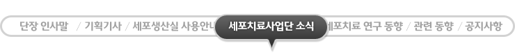 가톨릭세포치료사업단 소식 - 현재