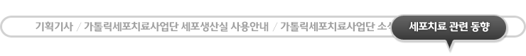 세포치료관련 소식 - 현재