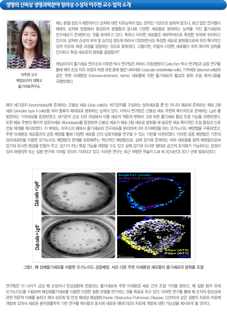 하단참조