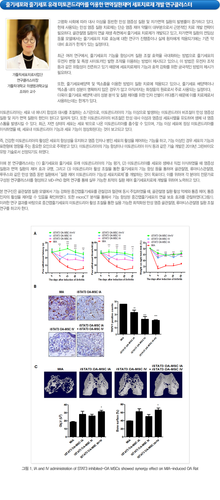 하단참조