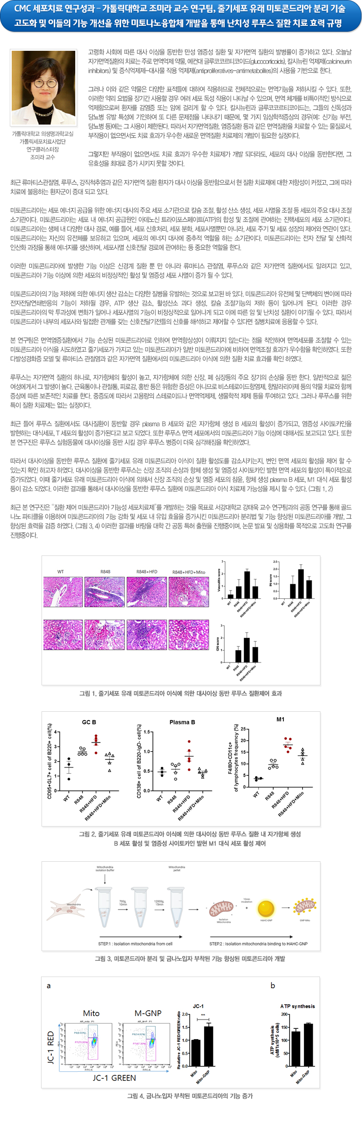 하단참조