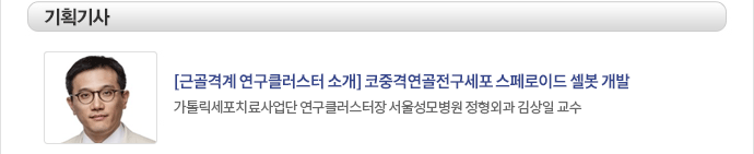 기획 기사